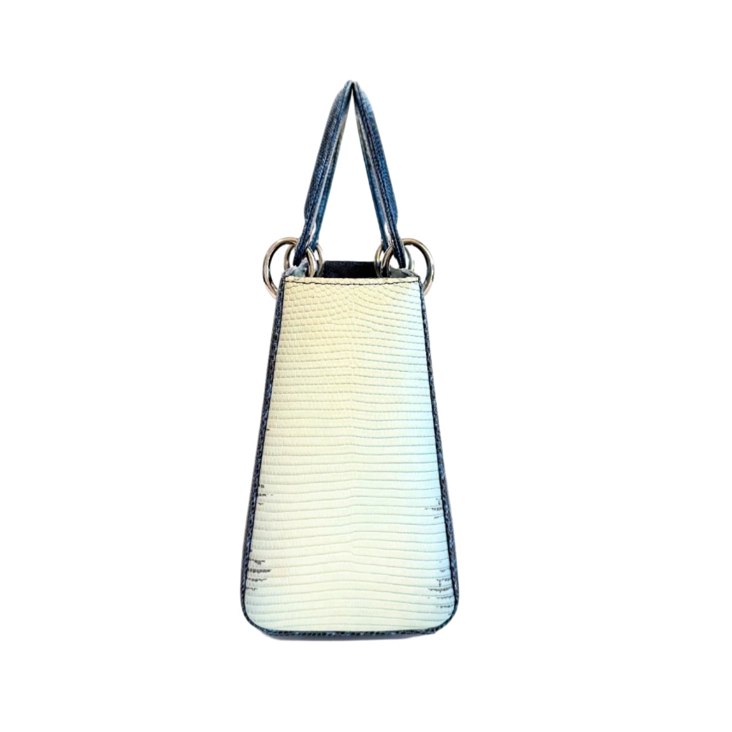 Dior Lady Dior Lizard Skin