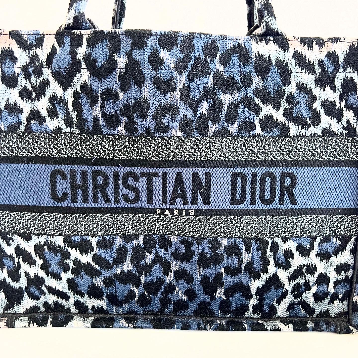 Dior Book Tote